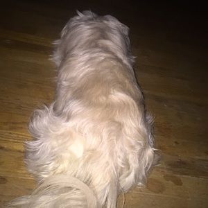 Meet your Posher, Tamara